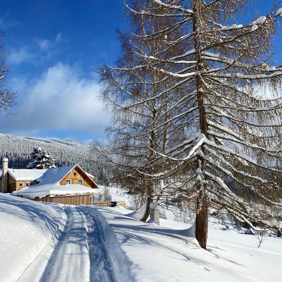 Bouda U Vleku Villa Пец под Снежко Екстериор снимка